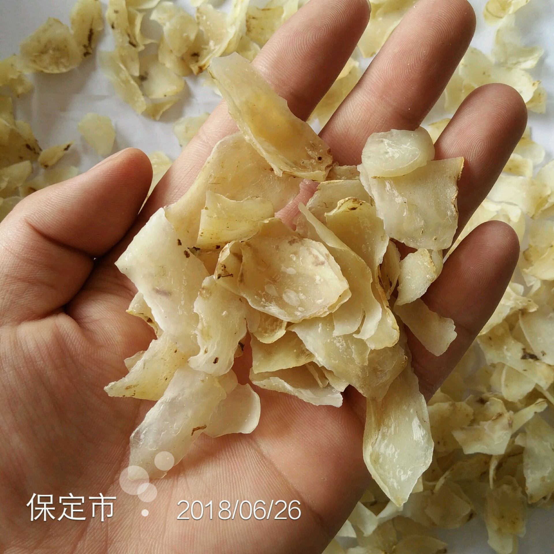 2020 Maryland Lily dry new goods The whole thing 20 element/Large Lily Dried vegetable Lily Cong