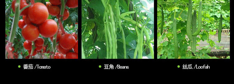 3987612556_1511651549