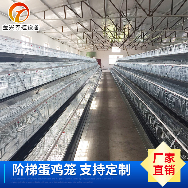 阶梯式蛋鸡笼A字型笼子 三层阶梯蛋鸡笼养殖设备 养殖场专用鸡笼