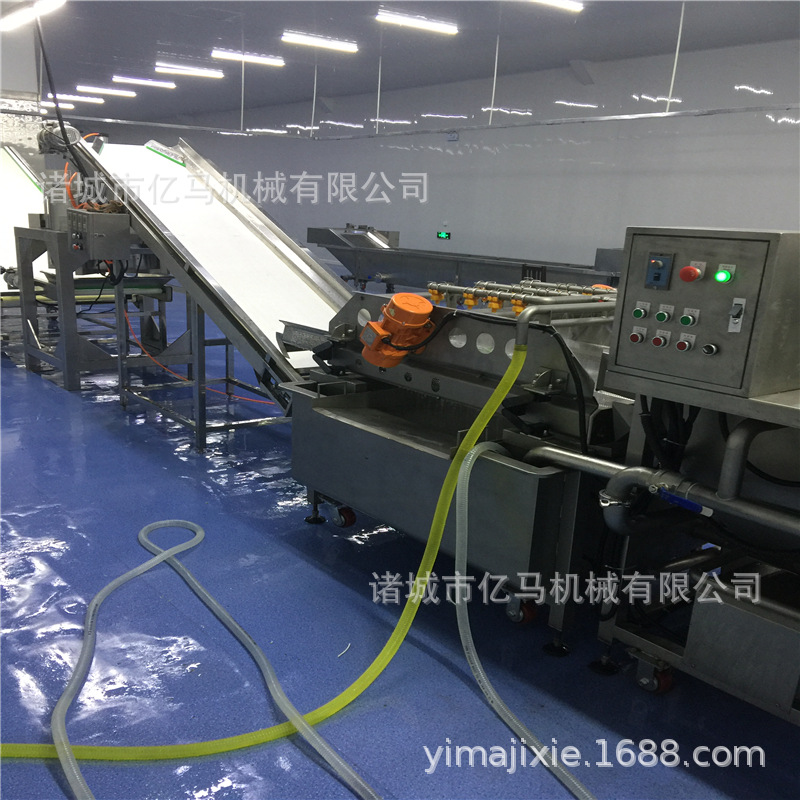 桑鲜菜气泡清洗机 桑苗气泡清洗机 果蔬气泡清洗机设备 洗菜机