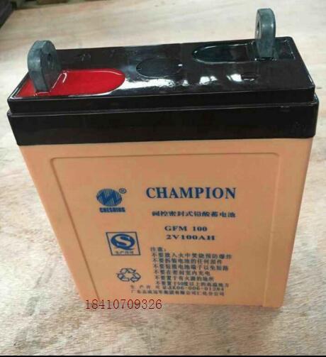 GFM2V蓄电池系列 蓄电池 2V100AH GFM100-2 蓄电池应用广