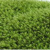Moss micro -landscape air -drying \ Fresh white hair moss small white hair accessories material box installed indoor moss wall