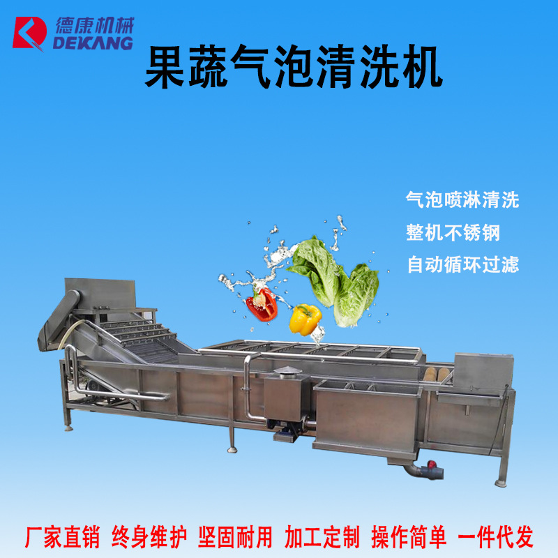 全自动果蔬清洗机 大型气泡清洗机 多种型号叶茎类蔬菜清洗机厂家