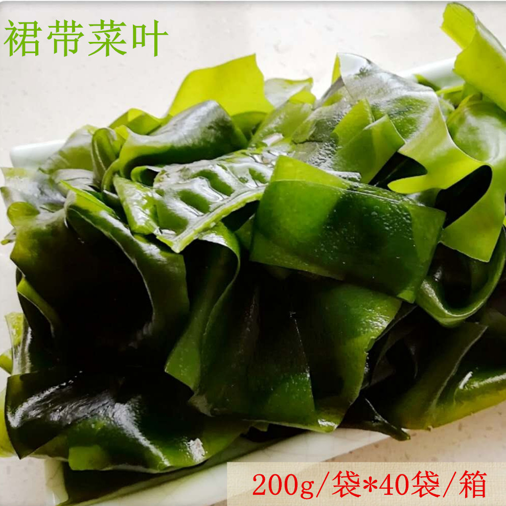 大连裙带菜叶海白菜海木耳餐饮火锅饭店食材冷冻裙带菜叶包邮|ms