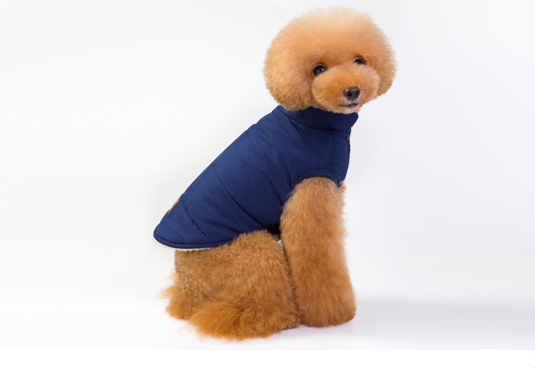 Dog in Thickened Vest