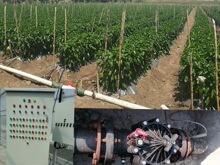 �r���Ȝ��Ҵ����ƺ�G���Ԅ����ܿ��ƹ��늴��y