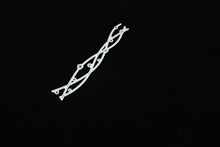 ���� ̓������ ��ģcutting dies�����и�scrapbook