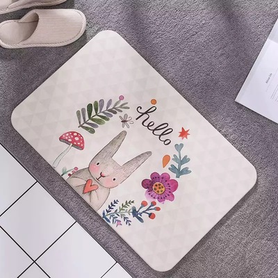 厂家直销家用浴室脚垫  新款定制60*39天然吸水硅藻泥脚垫