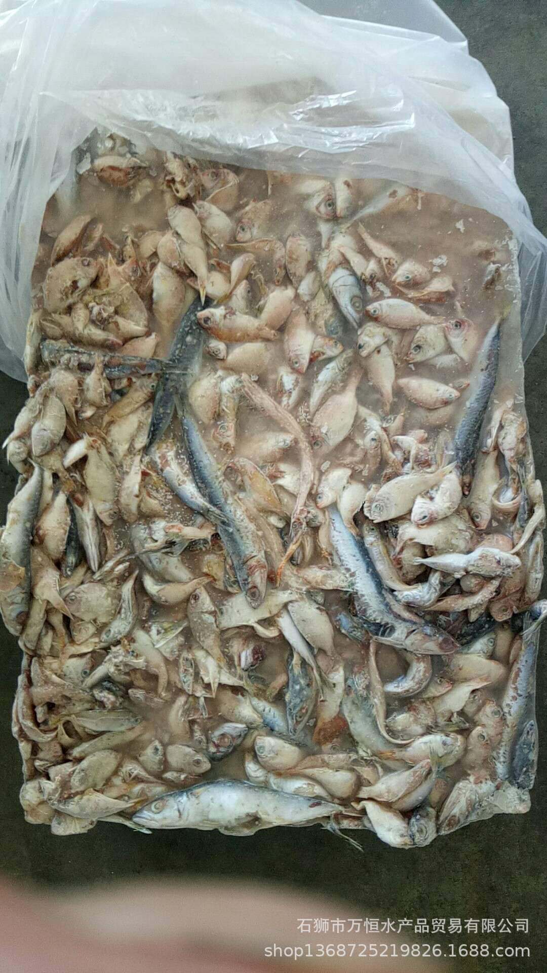 冰冻小杂鱼饲料批发,低价出售冰冻饲料鱼,冰鲜小杂鱼大量批发(第2页)_大山谷图库