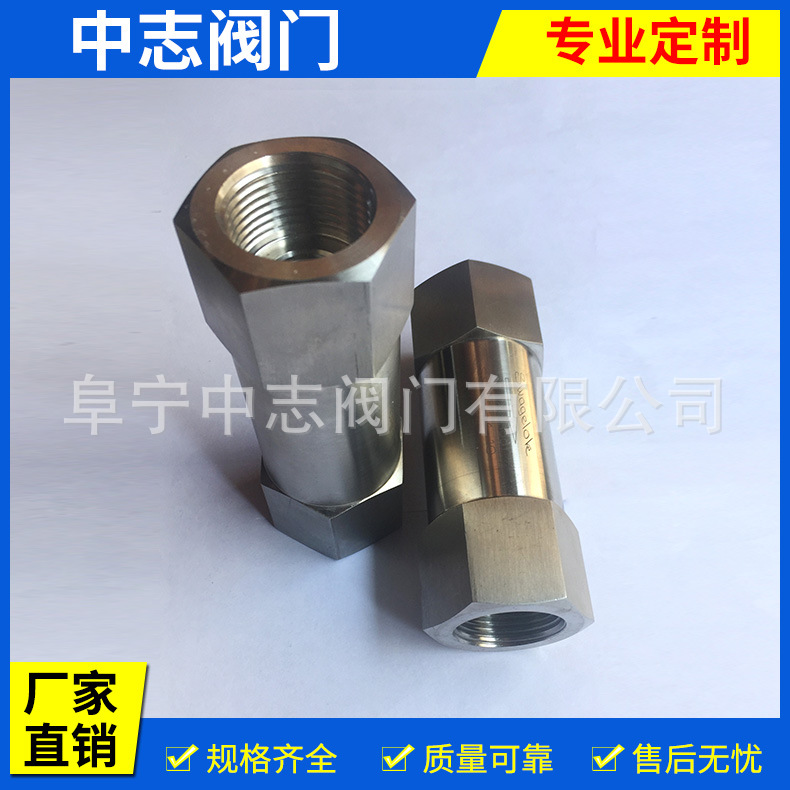 2-不锈钢止回阀(内螺纹DN20)