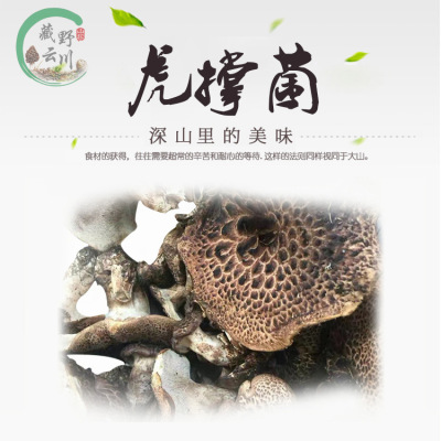 Yunnan specialty Mushroom Plateau specialty wild Tremellodon Gelatinosum Soup Ingredients dried food dried mushroom Place of Origin wholesale