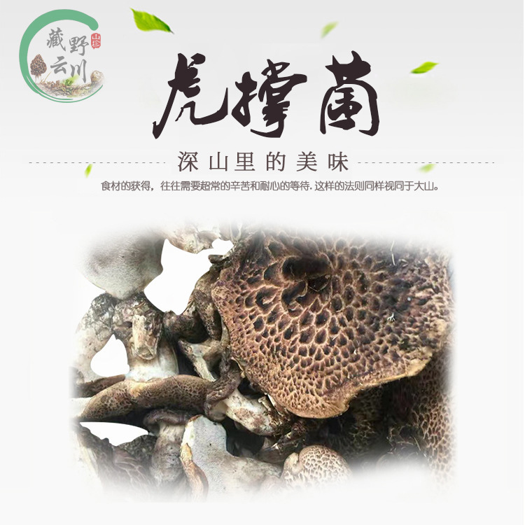 Yunnan specialty Mushroom Plateau specialty wild Tremellodon Gelatinosum Soup Ingredients dried food dried mushroom Place of Origin wholesale