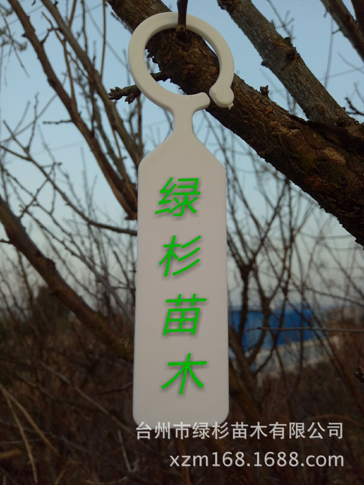 QQ图片20180120095652