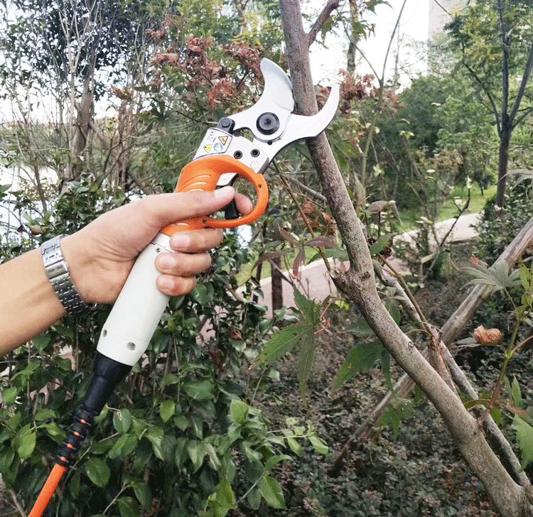 园林电动修枝剪 充电式修剪刀 电动修剪刀 树枝修剪刀 电动剪刀