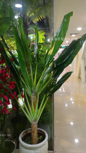 �������˽�  ���˽�1.5��2�׷������˽����Է���Ž���Ꭷ�Ž���