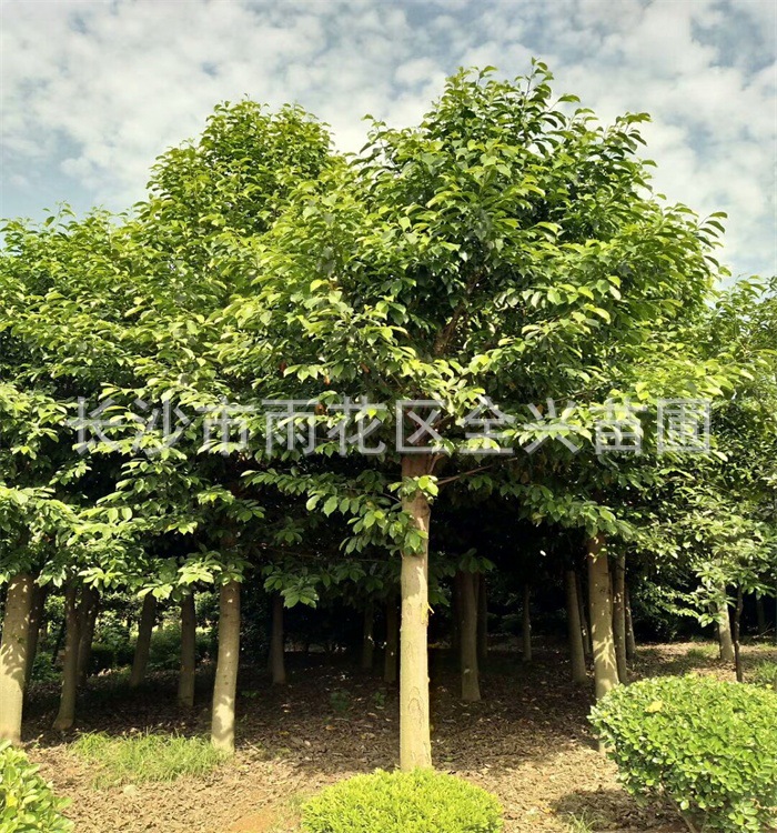 mmexport1528374471018