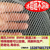 防老化果園防雹網蔬菜防雹網0.5  0.8孔廠家直銷防雹網防鳥網
