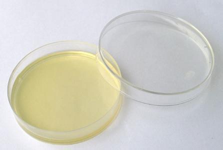 链球菌细菌生化编码鉴定管/12支X10支