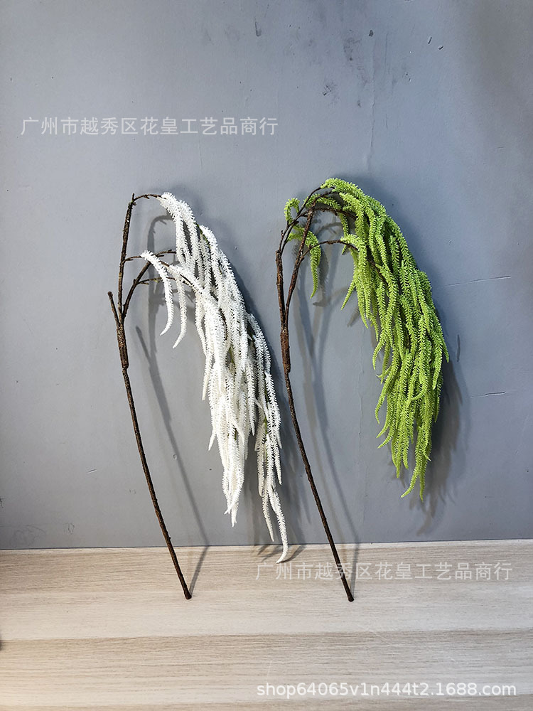 新建文件夹 (2)IMG_3804 副本.jpg