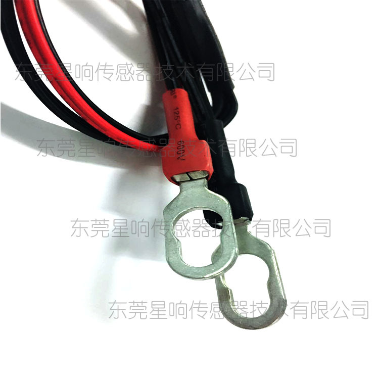 带壳体温度传感器 带壳体新能源汽车用温度传感器 厂家生产定制