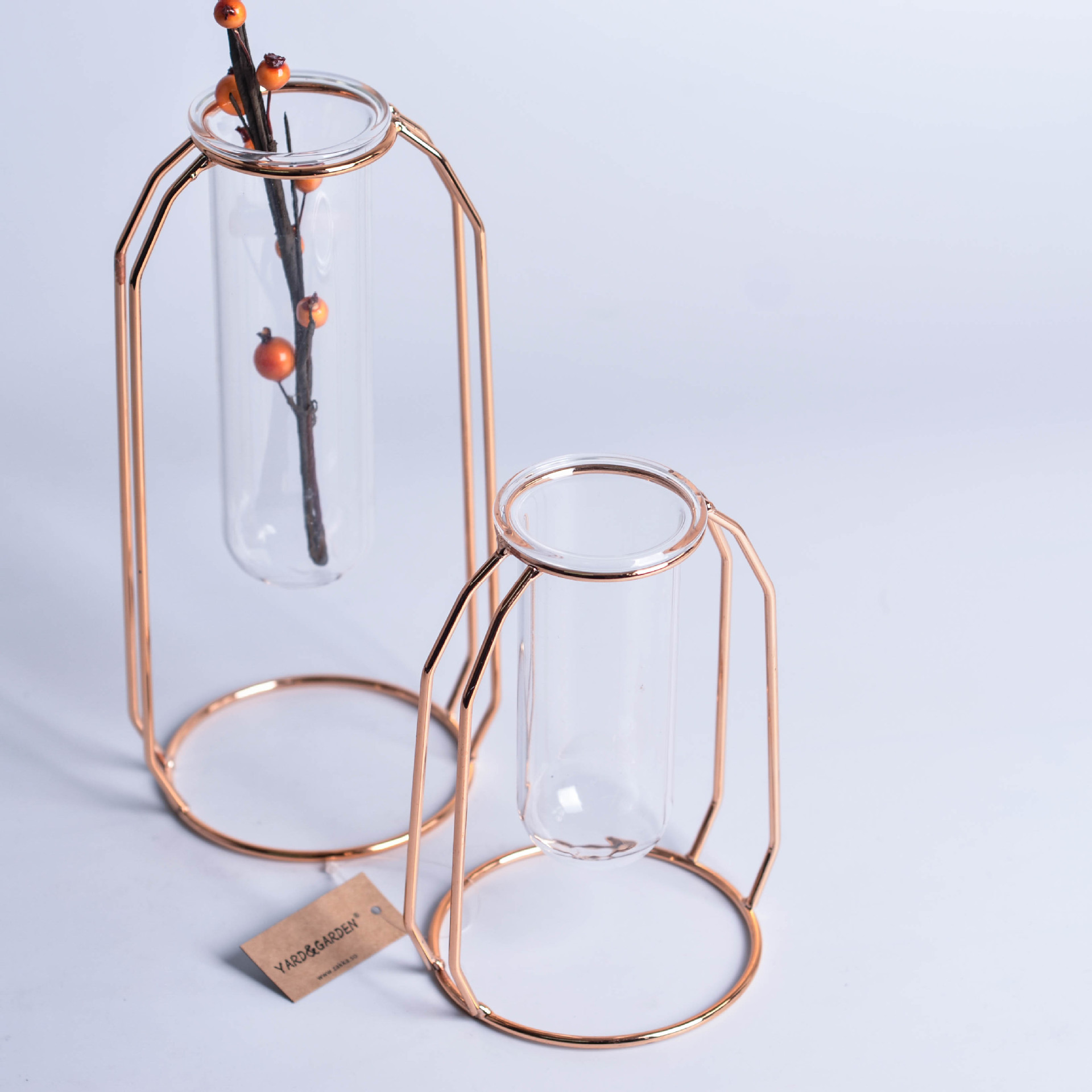 INS Minimalist Luxury Glass Hydroponic Metal Vase