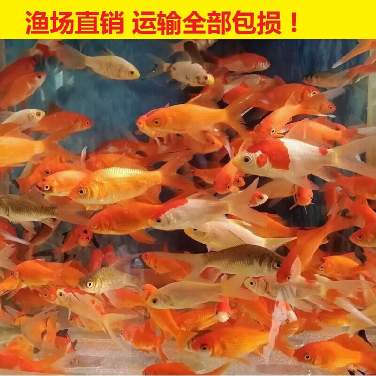 QQ图片20180118202204