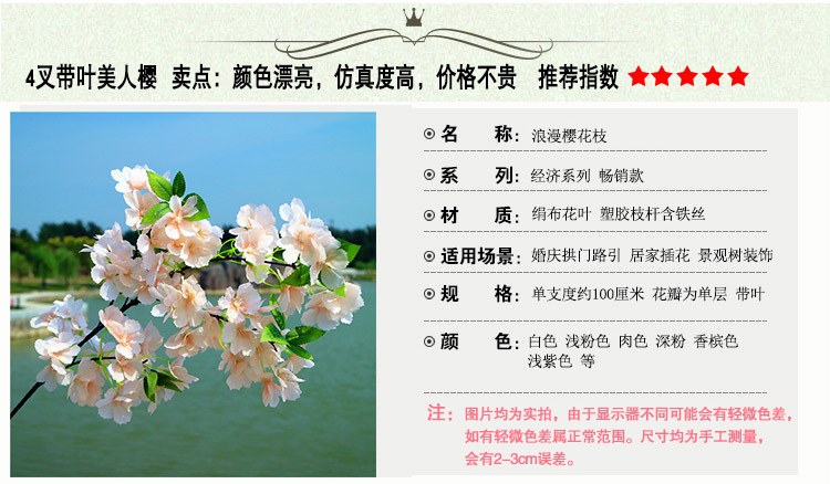 4叉带叶美人樱 规格图.jpg