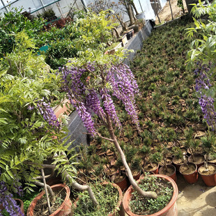 �̨���@��픠��w�໨ֲ�����������}�� �ļ����������}