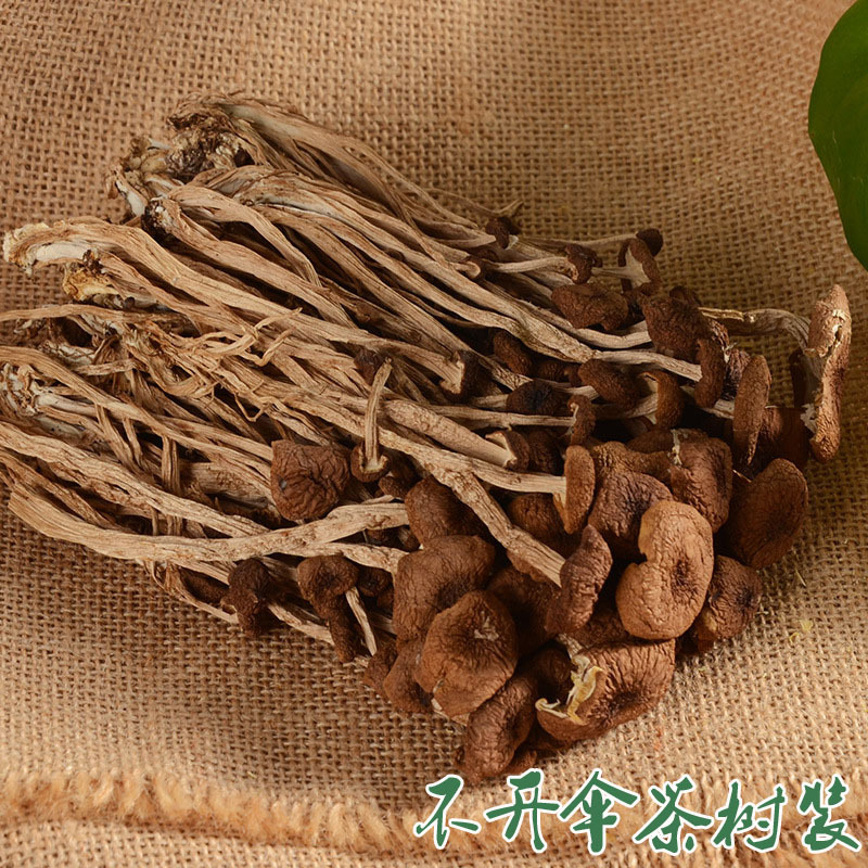 不开伞茶树菇干货 原产地茶树菇干货10斤批发 茶树菇散装厂家直销