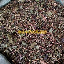 黄花母 黄花母品牌 图片 价格 黄花母批发 阿里巴巴