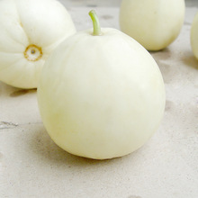 中科茂华蔬菜水果种子香甜美玉208白甜瓜种子早熟超甜薄皮香瓜