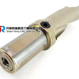 全新原装山高铣刀R217.29-1212.0-03.2.070E仿形铣刀片