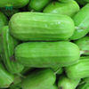 Zhongke Maohua Water Fruit Vegetable Seed Eight -Emperor Crispy Gourd Gourd Gourd Gourd Poly Captive Vegetable Gourd Seed