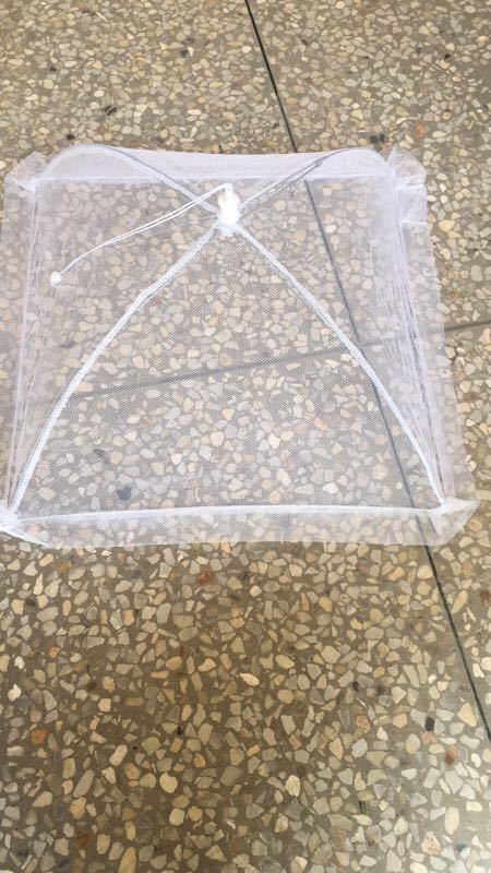 微信图片_20180813143436