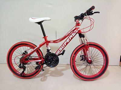 20寸,21速小山地变速自行车