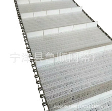 厂家直销塑料洗碗机网带果蔬清洗机餐具输送网带食品级塑料网带