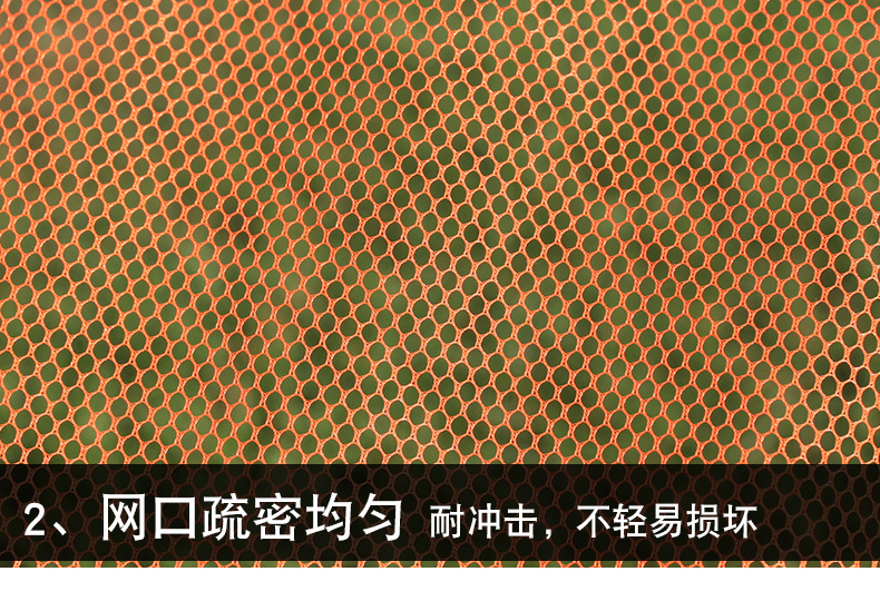 790_08.jpg