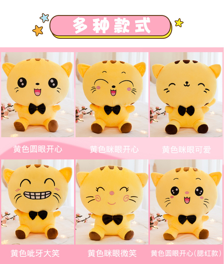 Cat_03