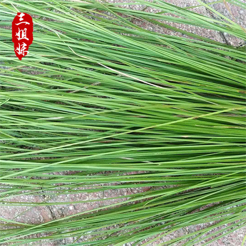 Northeastern Ura grass, Yanghu grass, aquatic grass, insole grass, large quantities of dried wild grass, handicraft raw materials wholesale props