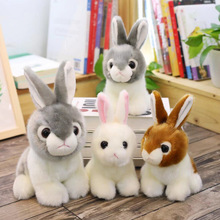 �ɐ۷������ӹ�����żë�q���С̖�����ӻ�ӶYƷץ�C���������l