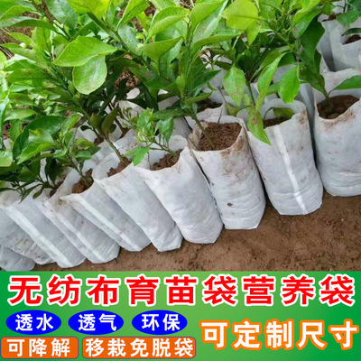 大号加厚育苗袋无纺布批发可降解营养杯植树袋阳台栽培容器杯定制|ms