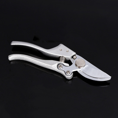 Pruners Spring Squid Fruit shears sharp Fruiting branches cut Cut branches Garden shears Customizable