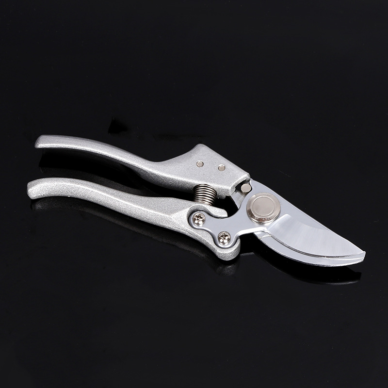 Pruners Spring Squid Fruit shears sharp Fruiting branches cut Cut branches Garden shears Customizable