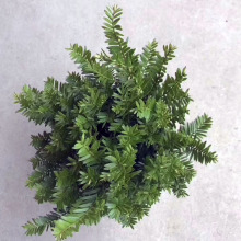 180ͼtɼ҃ԾGֲ܈@־G ľ