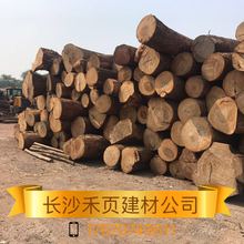 湖南廣東  國產香樟木 帶皮原木 樟木 各種常規規格加工定制
