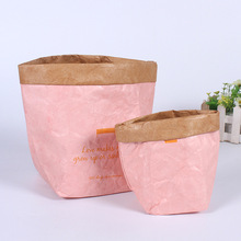 经典创意植物盆栽袋  办公桌杂物收纳杜邦纸袋