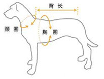 狗尺寸