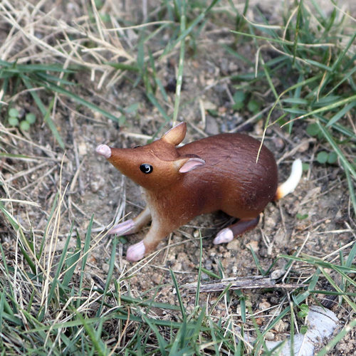 Cross-border simulated wild animal model toy possum, mouse set, children's early education hand-made ornament model
