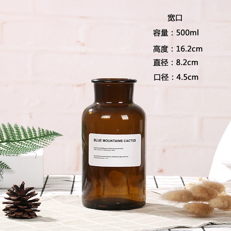 Botella de deseos luminosa botella de vidrio creativa qixi amante graduación regalo Navidad LED deriva botella estrella