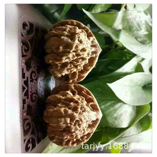 ������Ҙ������l �޽�Ʒ�N �{���^  ������ Ʒ�Nȫ �m���ϱ���